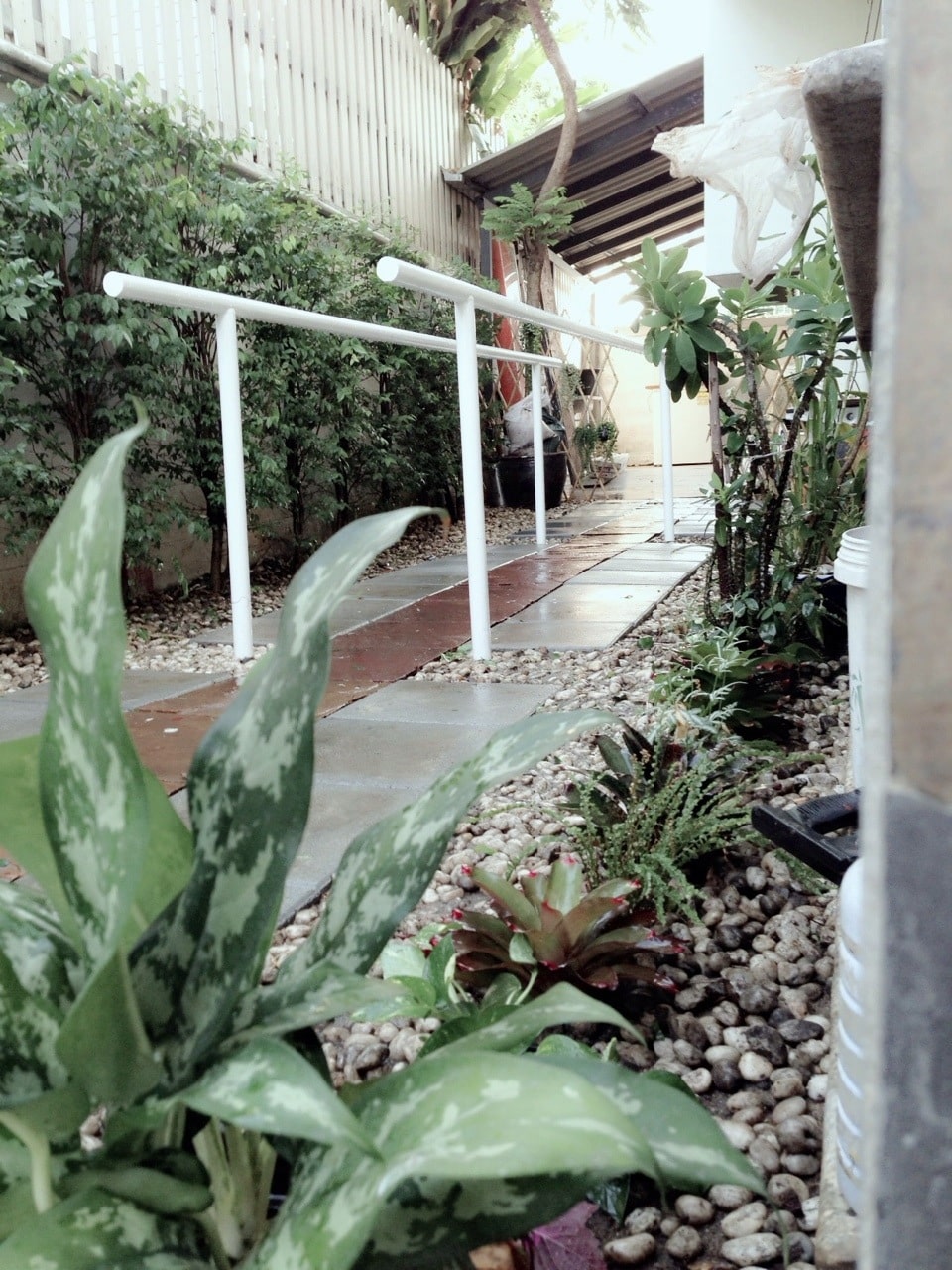 Best Care Nursing Home Don Mueang Branch