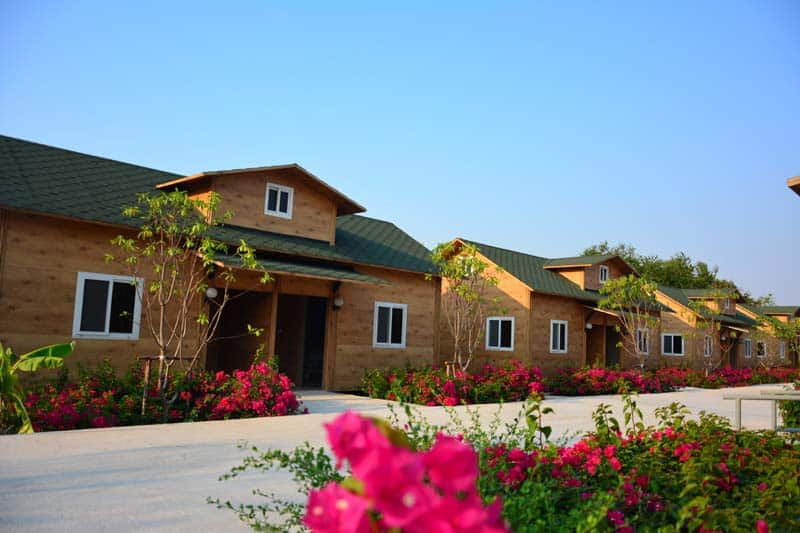 The Rich Nursing Resort